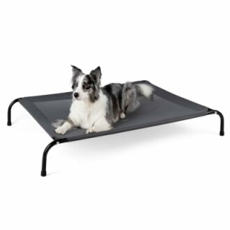 Cooling Elevated Dog Bed Cot