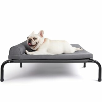 Elevated Dog Bed with Removable Pillow Pad