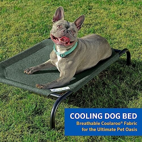 COOLAROO Elevated Dog Bed