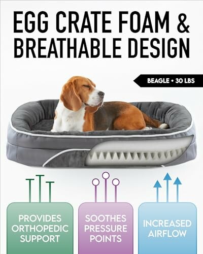 Dog on orthopedic foam bed with breathable design features.