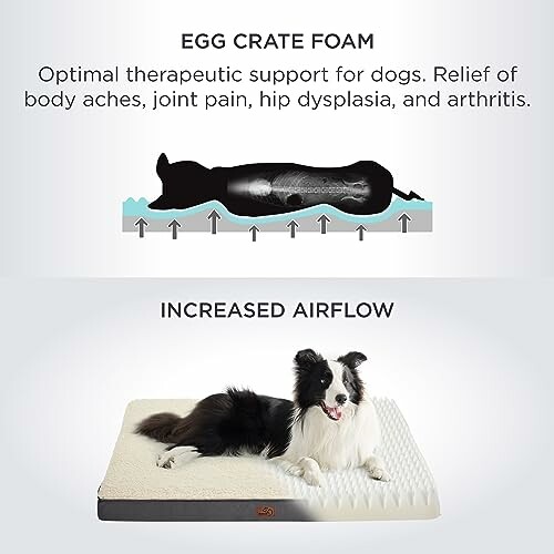 Dog on egg crate foam bed for therapeutic support.