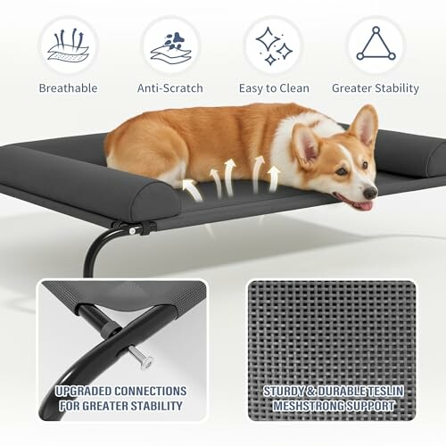 Corgi on a raised dog bed showcasing breathable, anti-scratch, easy to clean, and stable features.