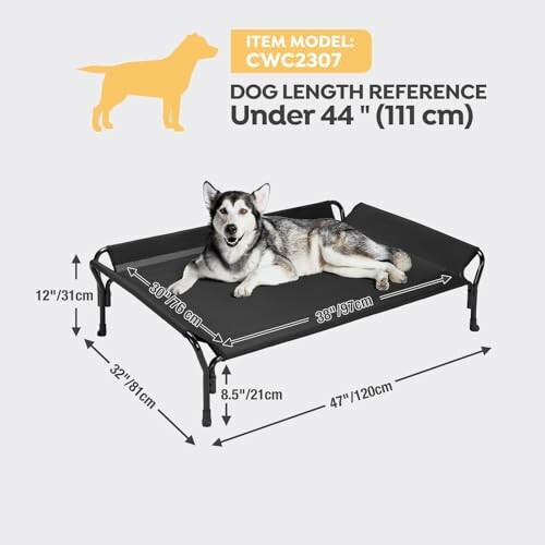 Dog lying on a raised bed with measurements for sizing guide.