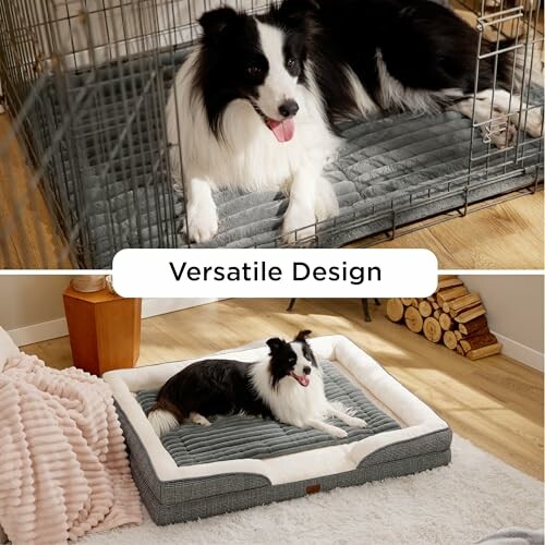 Dog on versatile bed design in crate and open space.