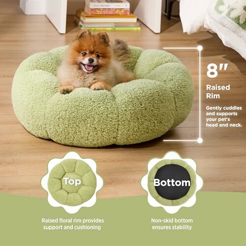 Small dog sitting in a green pet bed with raised rim and non-skid bottom.