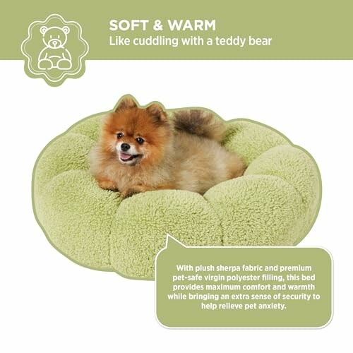 Fluffy dog lying in a green pet bed with soft sherpa fabric.