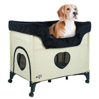 Beagle sitting in a beige pet stroller with heart-shaped windows.