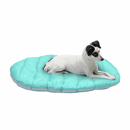 Small dog lying on a blue pet bed