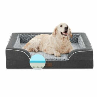 Memory Foam XL Dog Bed