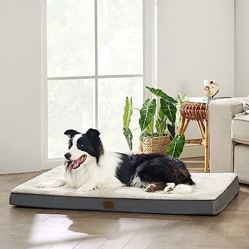 Bedsure Orthopedic Dog Bed Extra Large