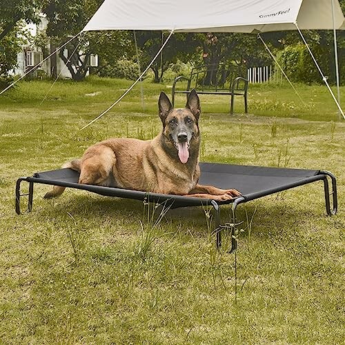 Pettycare Elevated Outdoor Dog Bed