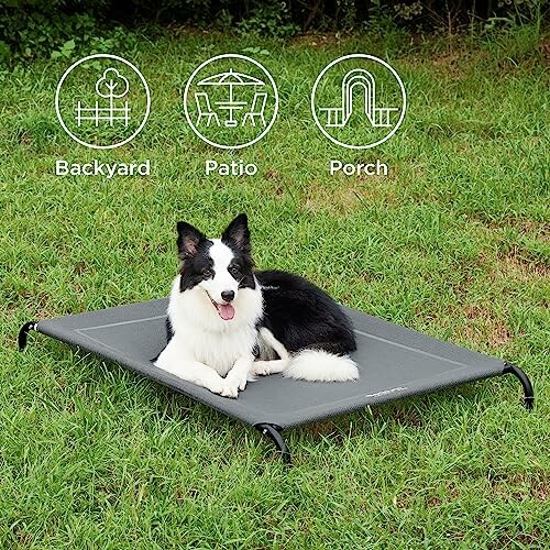 Dog sitting on an elevated bed outdoors with icons for backyard, patio, and porch.