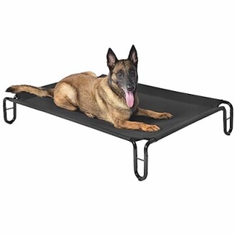 Dog resting on an elevated pet bed.