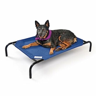 Dog lying on a blue elevated pet bed.