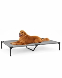 Elevated Raised Dog Bed