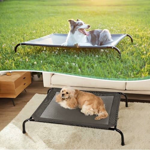 Two dogs on elevated pet beds, one outdoors and one indoors.