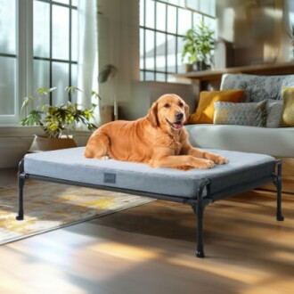 Dog lying on an elevated bed in a cozy living room.