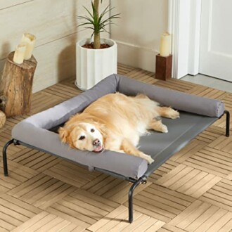 Dog lying on an elevated pet bed indoors