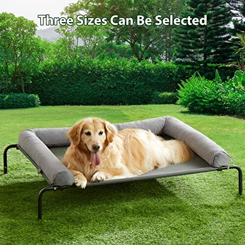 RRPETHOME Elevated Cooling Dog Bed