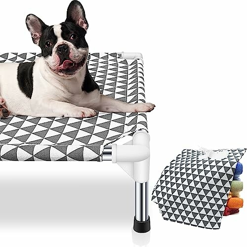 Elevated Outdoor Dog Bed