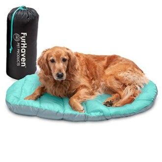 Golden retriever lying on a teal pet bed next to a FurHaven carrying bag.