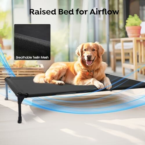 Dog lying on raised bed with breathable mesh for airflow