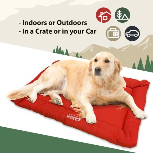 Coleman Large Dog Bed