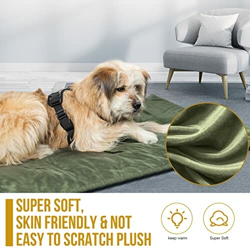 Dog lying on a green plush mat in a living room.