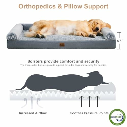 Dog sleeping on orthopedic bed with pillow support illustration.