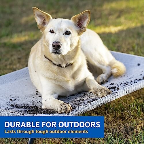 Dog lying on outdoor elevated bed with dirt.