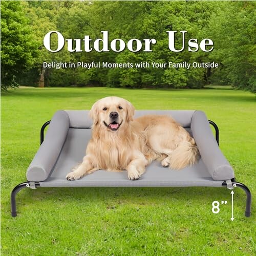 Golden retriever on a raised outdoor dog bed in a grassy area.