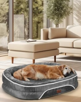 OhGeni Orthopedic Dog Bed