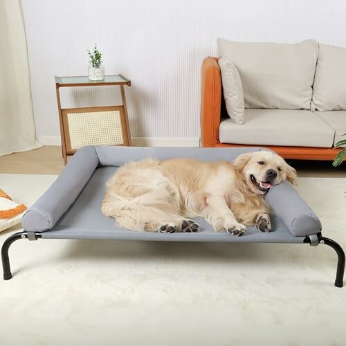 Cooling Elevated Dog Bed