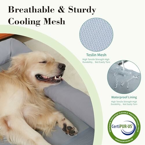 Golden retriever sleeping on a bed with breathable and sturdy cooling mesh features.