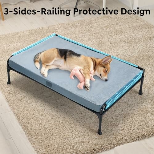 Dog sleeping on elevated bed with 3-sides railing.