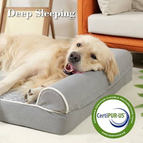 Golden retriever resting on a dog bed