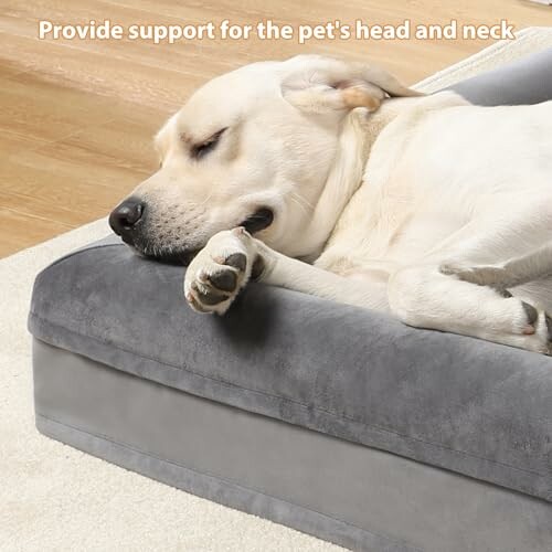 Dog comfortably sleeping on a gray pet bed