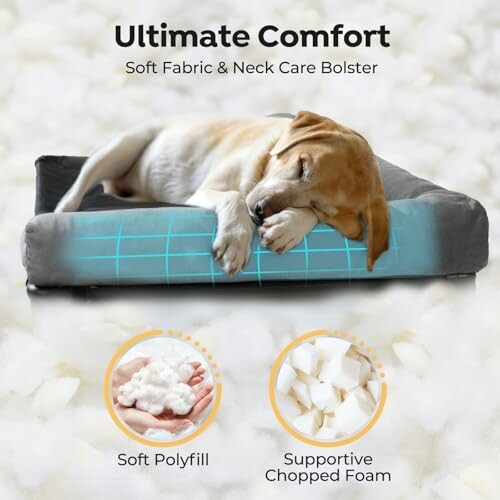 Dog sleeping on a comfortable bed with soft fabric and neck care bolster.