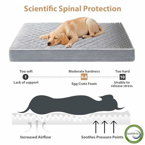 Dog resting on a gray egg crate foam mattress illustrating spinal protection benefits.