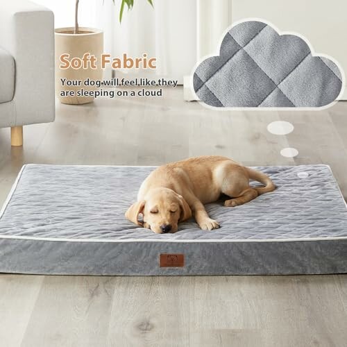 WNPETHOME Orthopedic Dog Bed