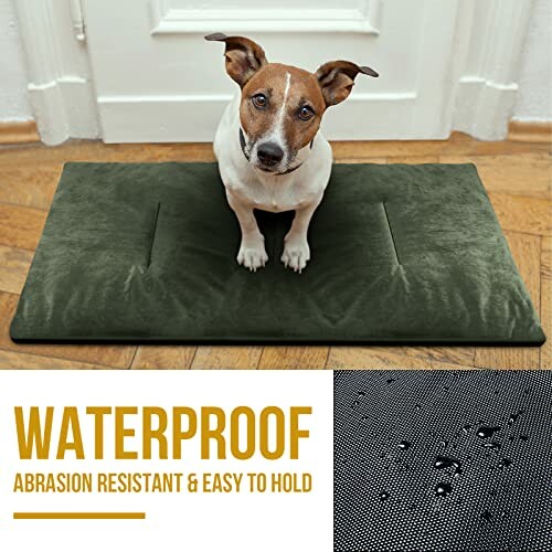 Dog sitting on a waterproof and abrasion-resistant mat.