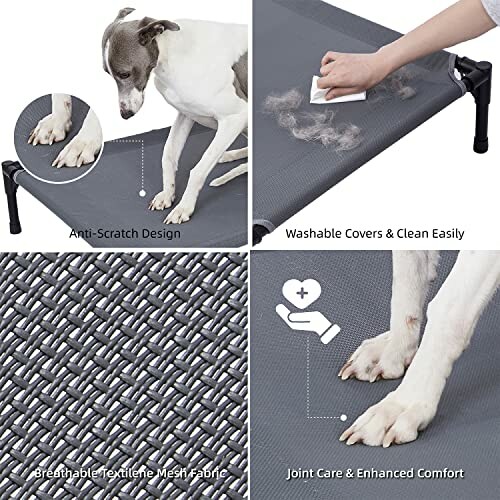 Elevated dog bed showing anti-scratch design, washable covers, breathable mesh fabric, and joint care benefits.