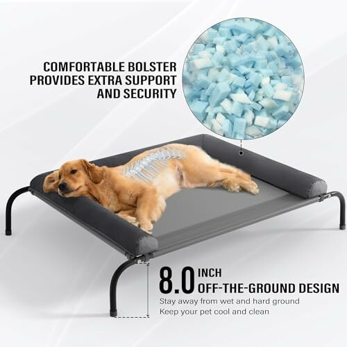 Dog on an elevated pet bed with bolster support and cooling material.