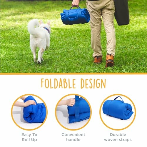 Person carrying a rolled-up blue foldable blanket with a dog nearby.