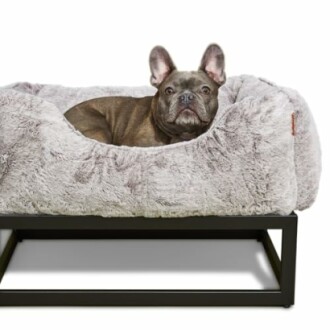 French bulldog lying in a plush dog bed on a metal frame