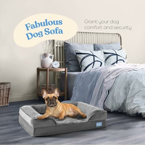 Orthopedic Sofa Dog Bed