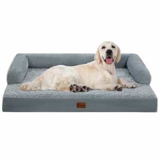 Casa Paw Orthopedic Dog Bed