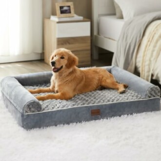 Golden retriever lying on a gray dog bed in a cozy bedroom.