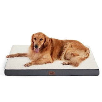 Golden retriever lying on a dog bed.