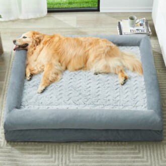 Golden Retriever resting on a large gray dog bed in a living room.